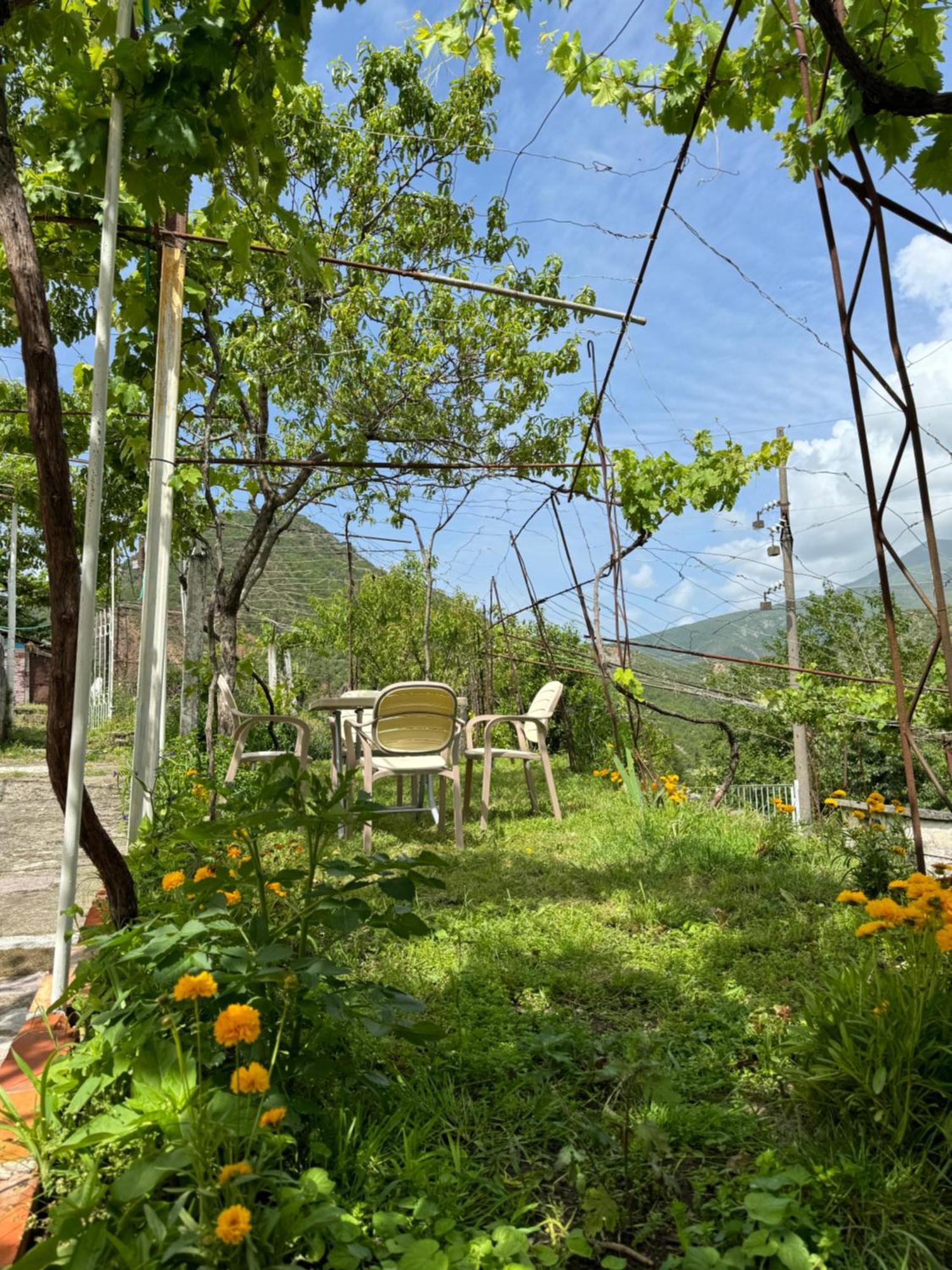 Guest House Noku Koman Εξωτερικό φωτογραφία