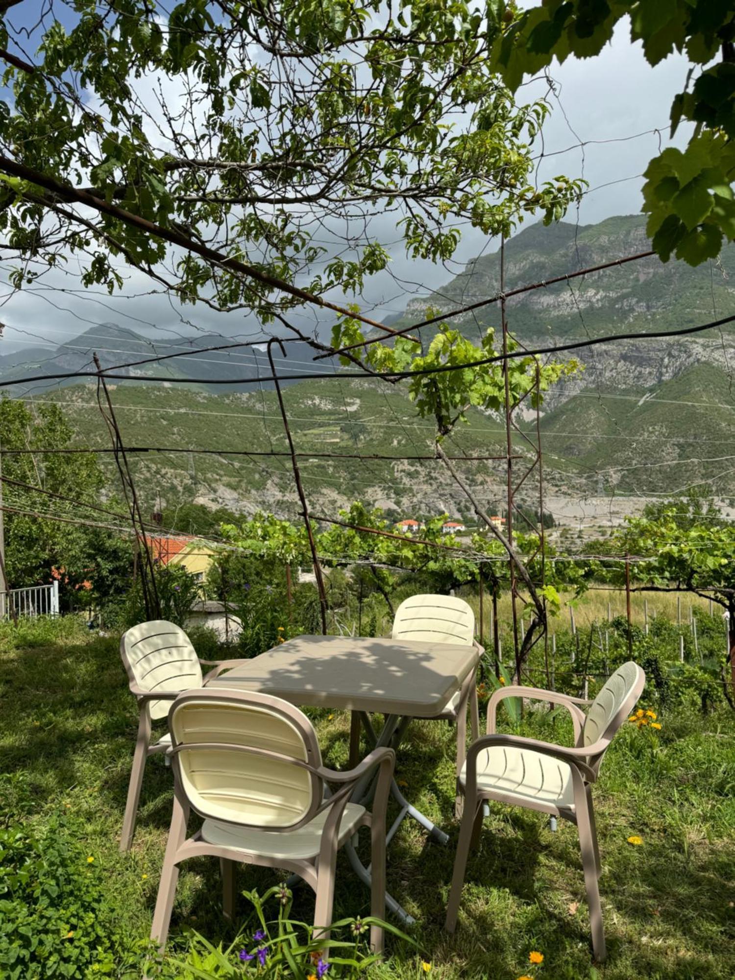 Guest House Noku Koman Εξωτερικό φωτογραφία