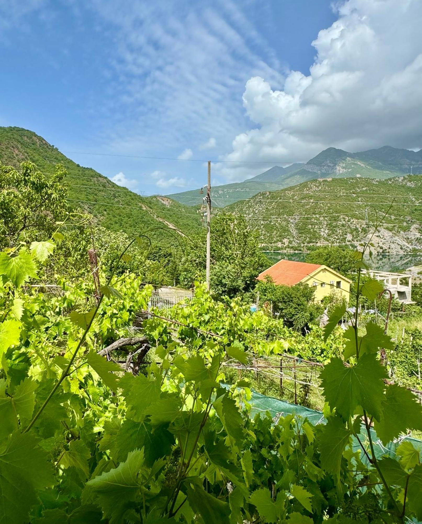 Guest House Noku Koman Εξωτερικό φωτογραφία